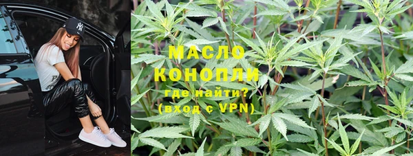 дмт Осинники