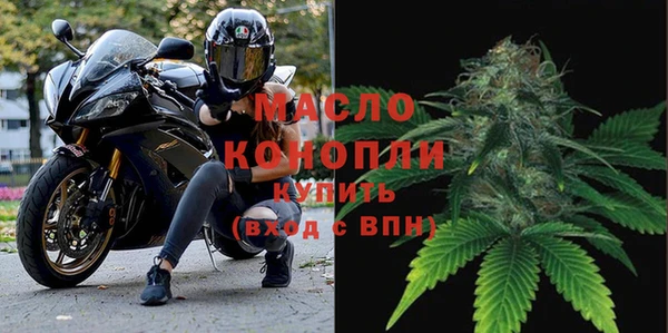 дмт Осинники